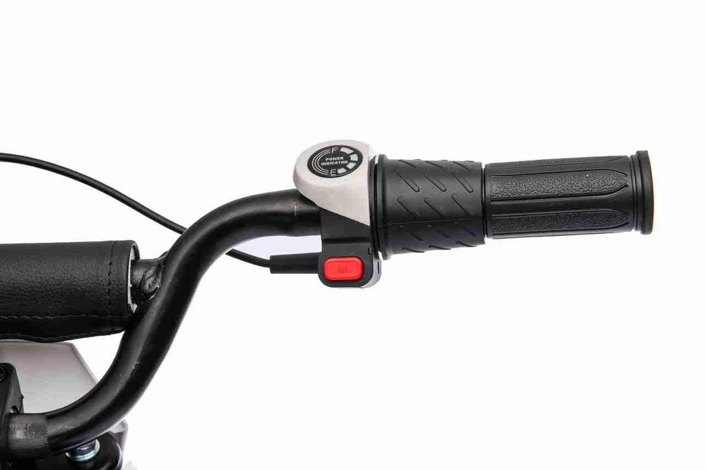Dirt Race Scrambler 24V Electric Ride On